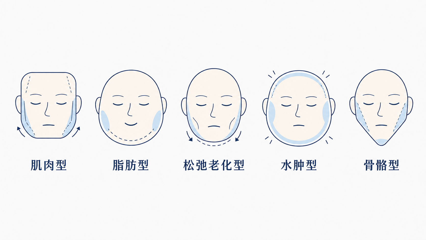 脸型