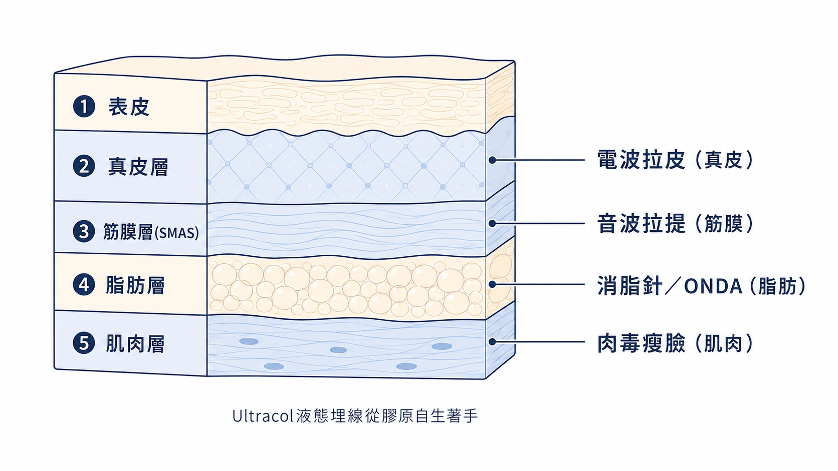 皮膚層瘦小臉作用