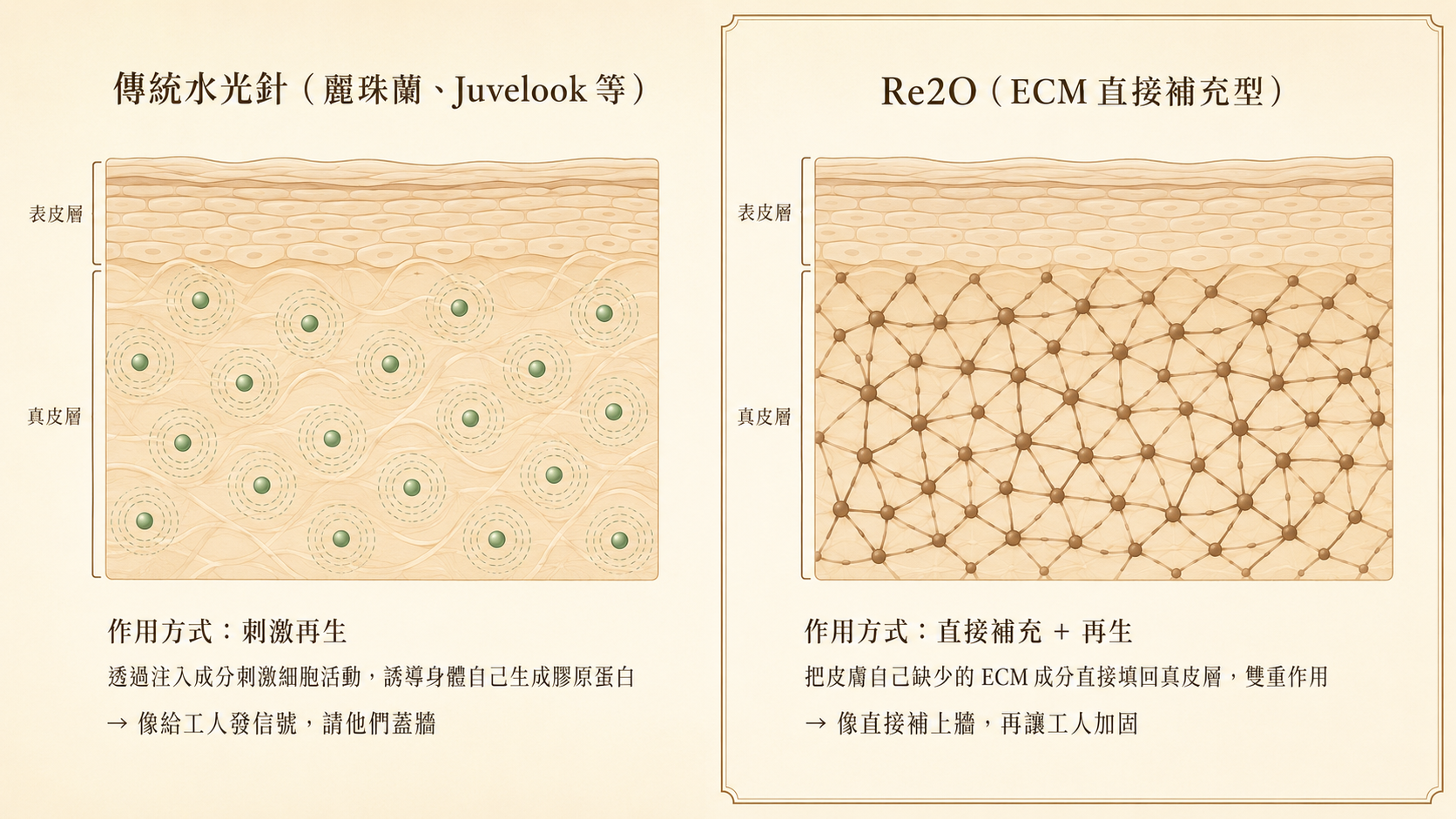 麗珠蘭跟Re2O比較