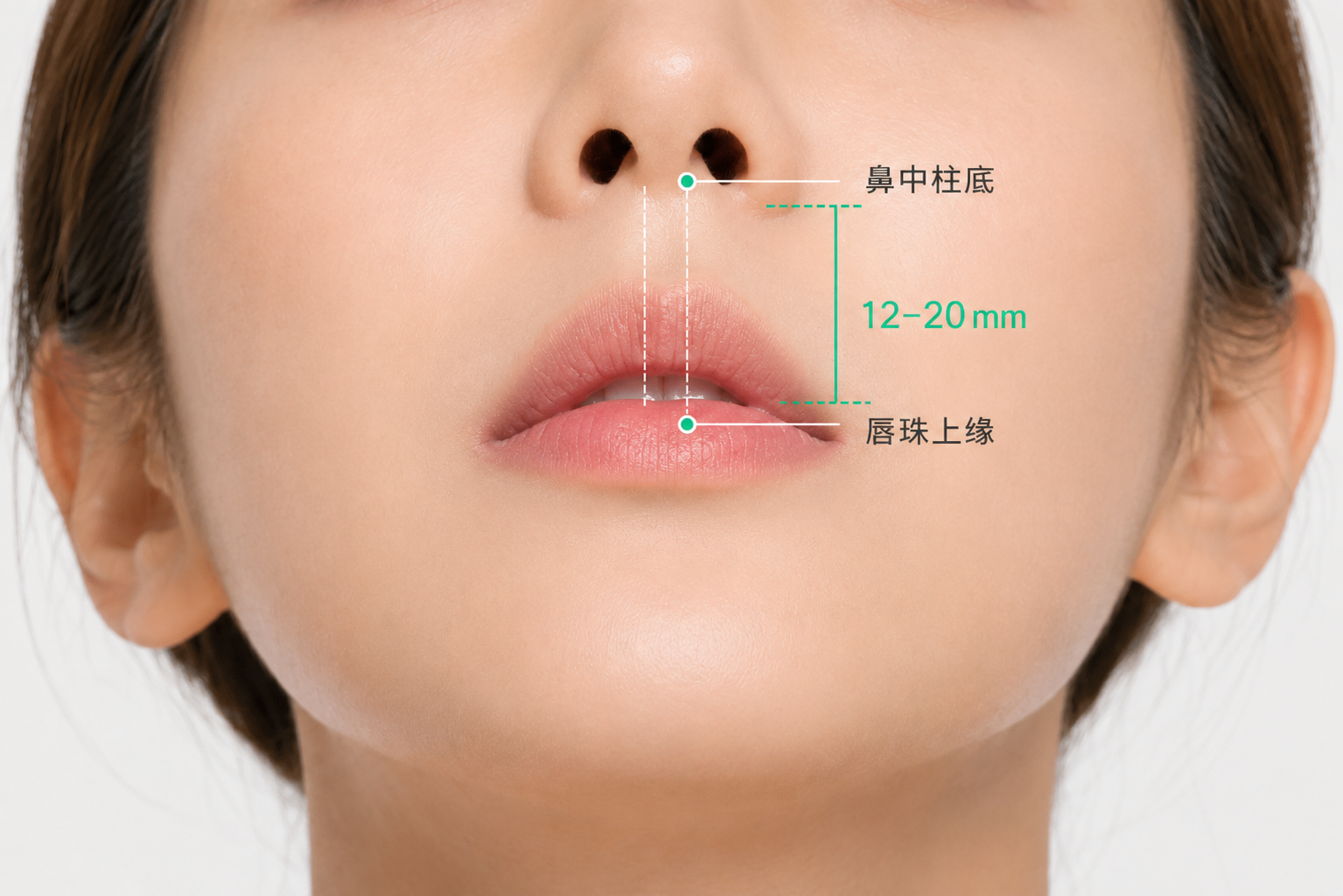 人中长度