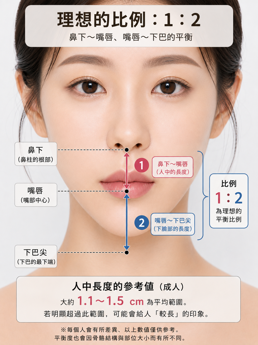 標示人中與下面部理想比例1比2的圖