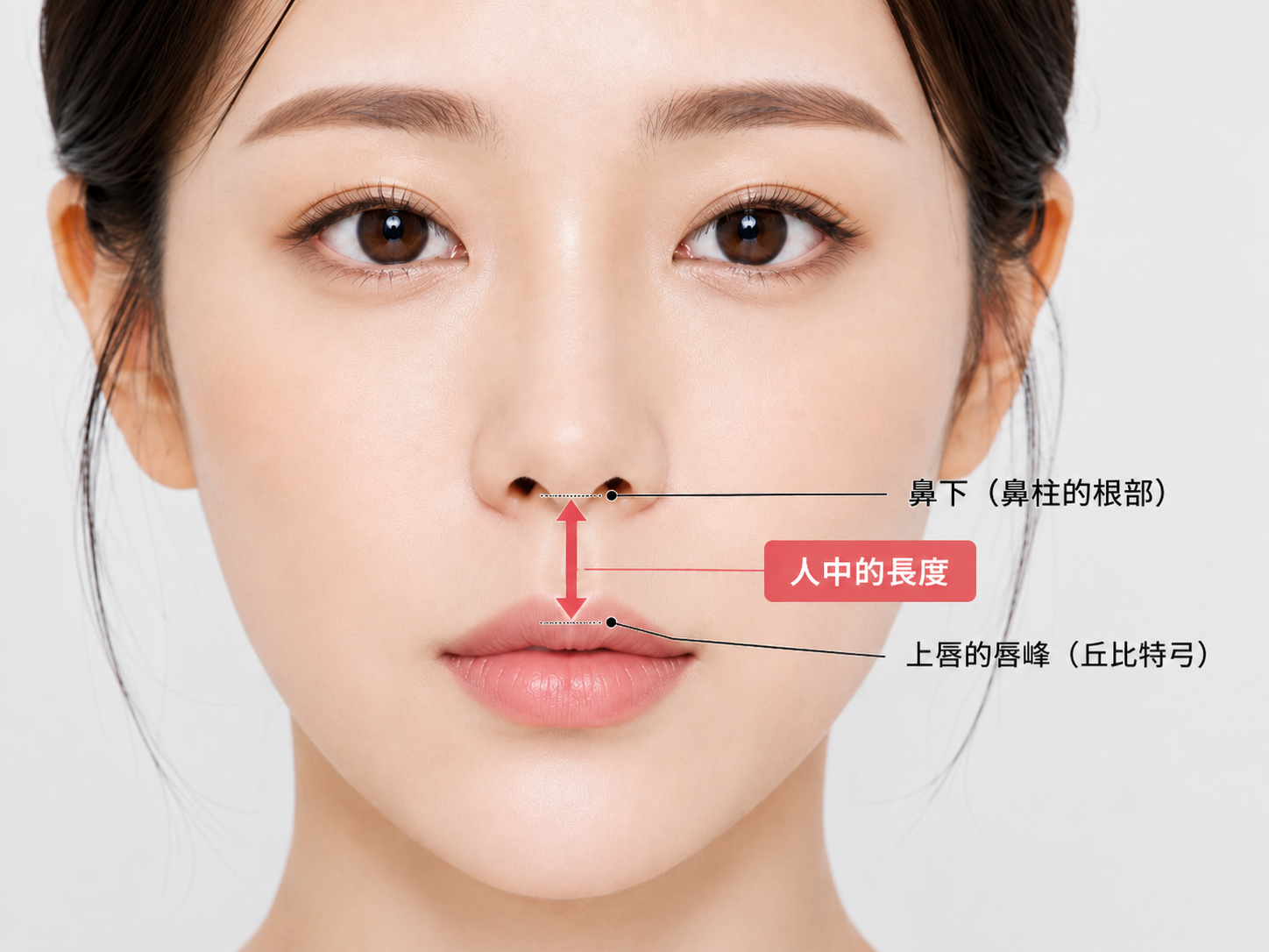 標示人中位置與測量方式的圖