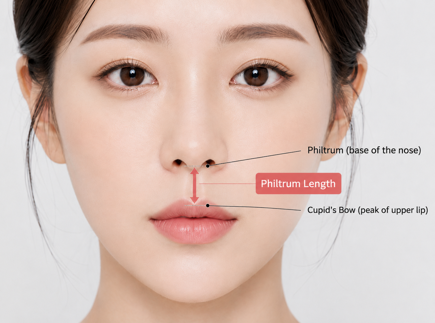 a diagram showing the location of the philtrum and how to measure it