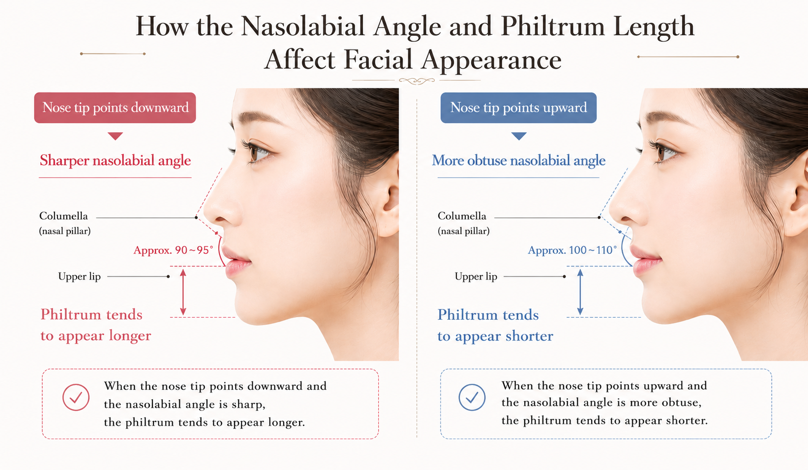 Comparison chart showing the relationship between the nasal labial angle and the way people see each other