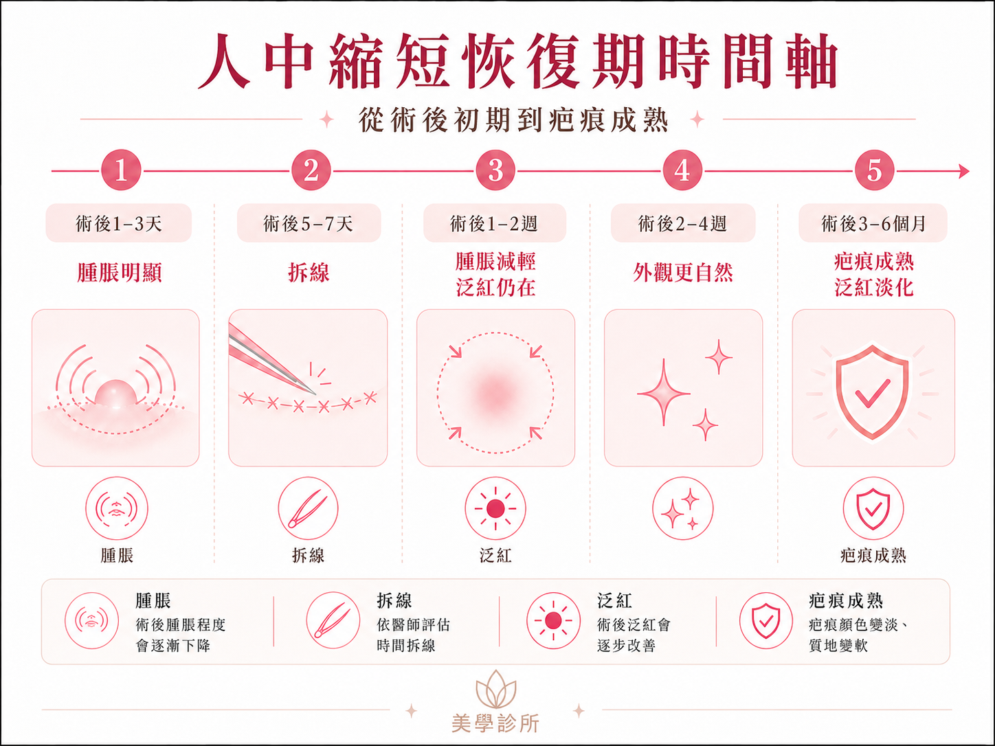 人中縮短恢復期中腫脹與泛紅過程時間軸的示意圖